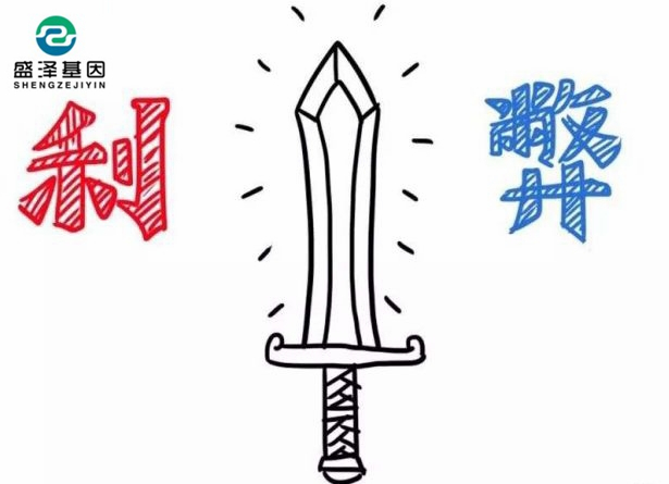 親子鑒定該不該背婚姻失敗的鍋？2