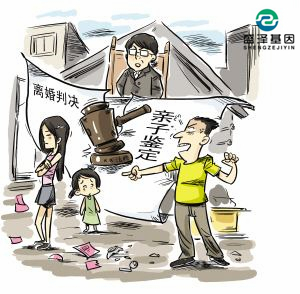 親子鑒定該不該背婚姻失敗的鍋？