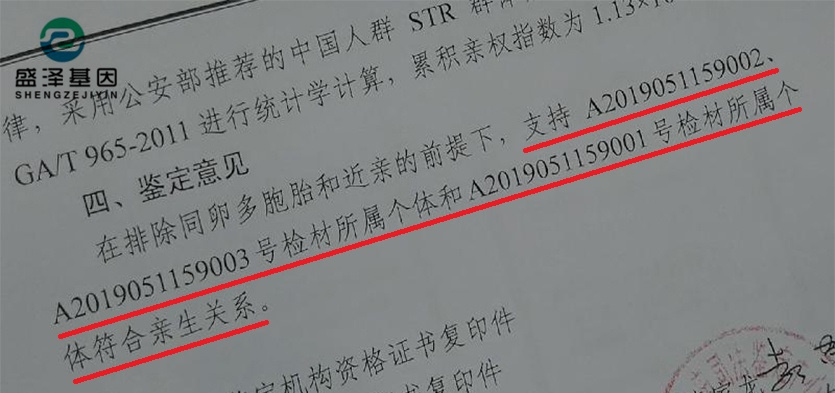 DNA親子鑒定報告究竟長啥樣?怎么看? DNA親子鑒定報告究竟長啥樣?怎么看?