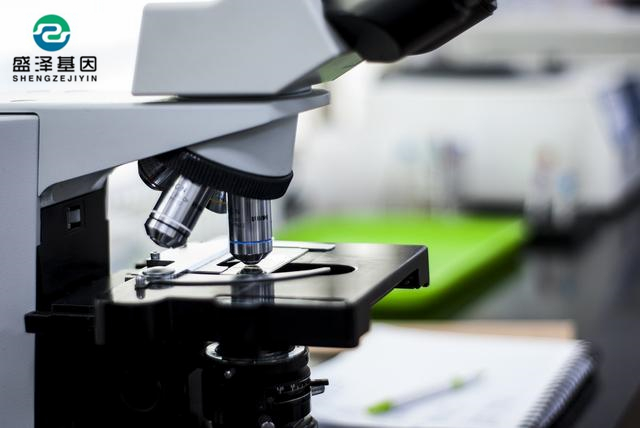 做親子鑒定花費(fèi)高嗎？中山做親子鑒定需要多少錢？