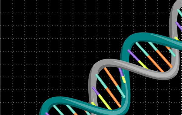 中山哪里做親子鑒定可靠？