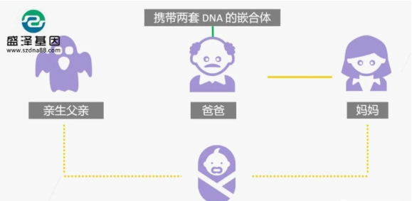醫(yī)學(xué)怪病奇美拉現(xiàn)象：親自生未必是親生？你身體還住著另一個(gè)人？