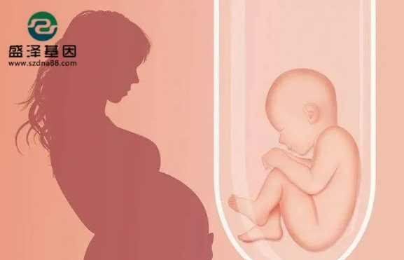 醫(yī)學(xué)怪病奇美拉現(xiàn)象：親自生未必是親生？你身體還住著另一個(gè)人？