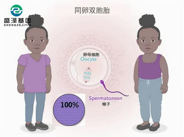 廣東男子做親子鑒定，竟發(fā)現自家雙胞胎有一個不是自己的？！