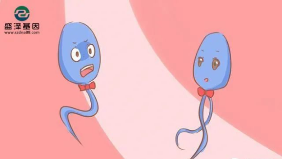 醫(yī)學(xué)怪病奇美拉現(xiàn)象：親自生未必是親生？你身體還住著另一個(gè)人？