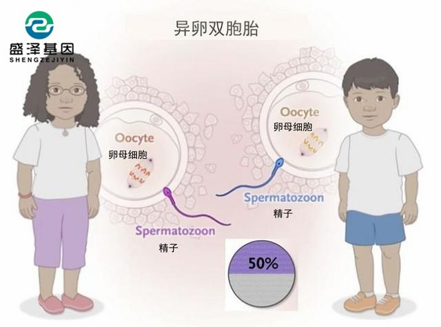 廣東男子做親子鑒定，竟發(fā)現自家雙胞胎有一個不是自己的？！
