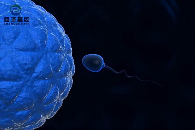 廣東男子做親子鑒定，竟發(fā)現自家雙胞胎有一個不是自己的？！