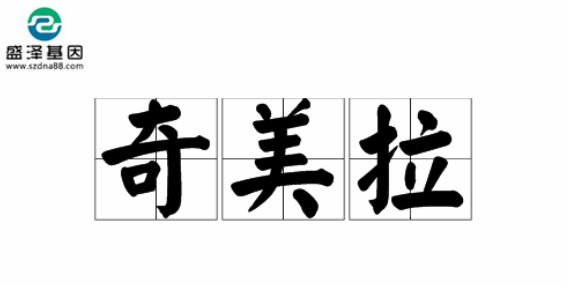 醫(yī)學(xué)怪病奇美拉現(xiàn)象：親自生未必是親生？你身體還住著另一個(gè)人？