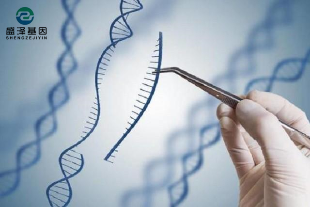 廣東男子做親子鑒定，竟發(fā)現自家雙胞胎有一個不是自己的？！