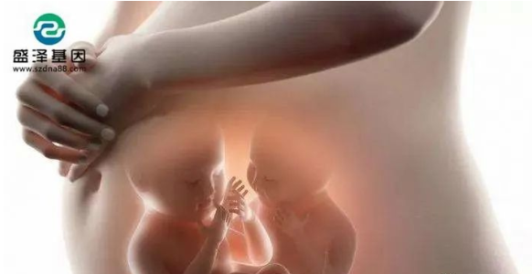 醫(yī)學(xué)怪病奇美拉現(xiàn)象：親自生未必是親生？你身體還住著另一個(gè)人？