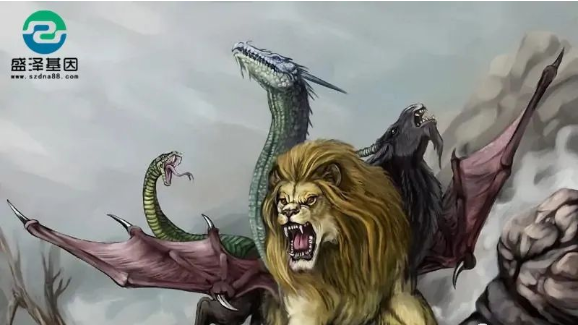 醫(yī)學(xué)怪病奇美拉現(xiàn)象：親自生未必是親生？你身體還住著另一個(gè)人？