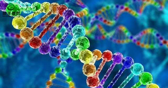 親子鑒定故事聽起來很魔幻？其實現實生活遠比電視劇來的精彩！