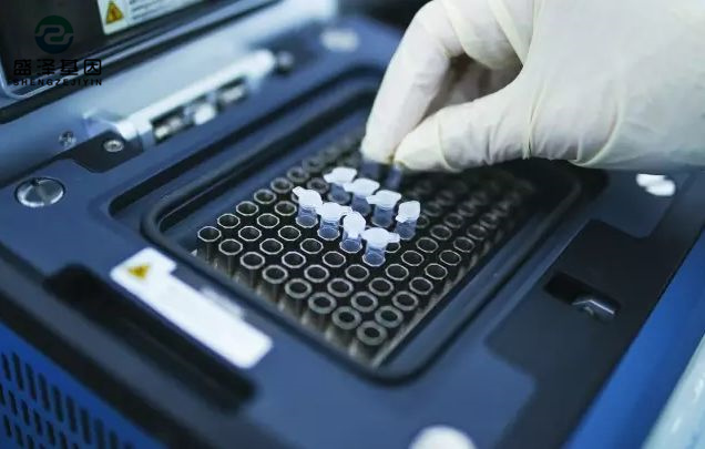 中山司法親子鑒定醫院咨詢:醫院做親子鑒定掛什么科? 中山司法親子鑒定醫院咨詢:醫院做親子鑒定掛什么科?