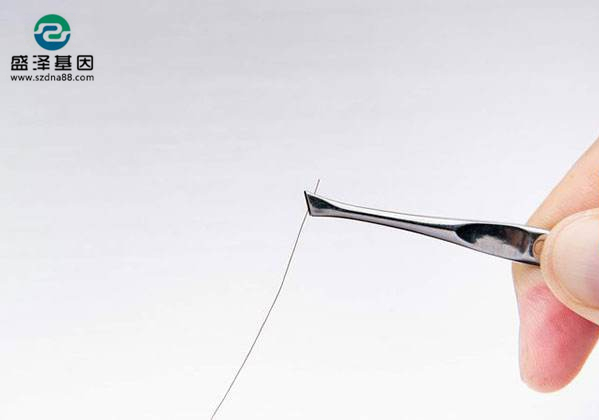 偷拿女兒頭發做親子鑒定，結果并非親生，他一怒將前妻告上法庭！