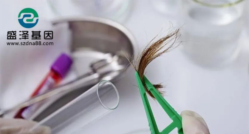 剛出生的小孩能用頭發做dna親子鑒定檢材嗎？準確率高嗎？