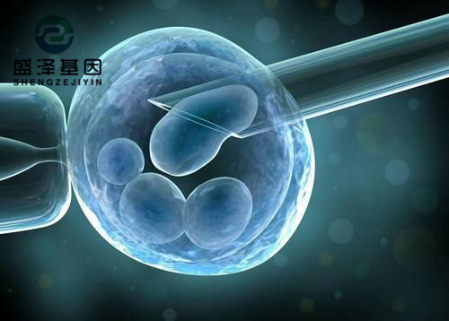 親子鑒定師講述：老公明明是無精癥，老婆卻試管嬰兒懷孕成功？