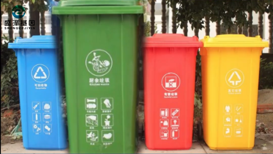 綠帽親子鑒定節目：性開放正在毀掉年輕人的未來