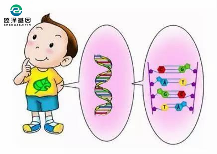 親子鑒定口腔拭子樣本結果不準確的原因是什么？