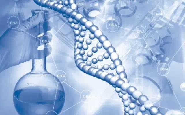 司法親子鑒定怎么做？無侵入性無創胎兒親子鑒定怎么做？