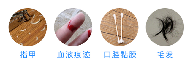 懷孕多久可以做無創(chuàng)胎兒親子鑒定樣本采集？