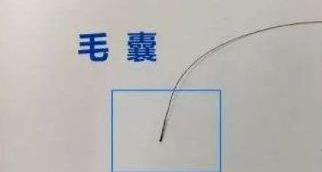 隱私親子鑒定自己一人能完成樣本采集嗎？