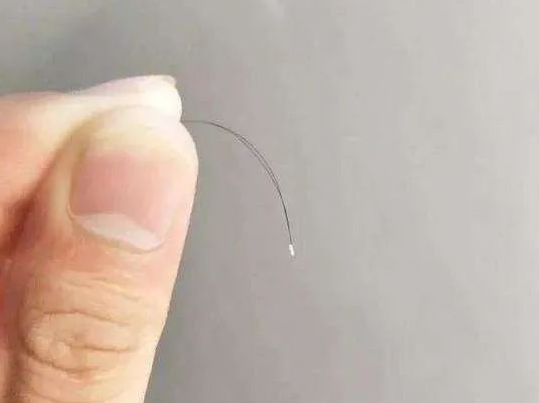 【科普】毛發親子鑒定樣本為什么一定要帶根部毛囊？