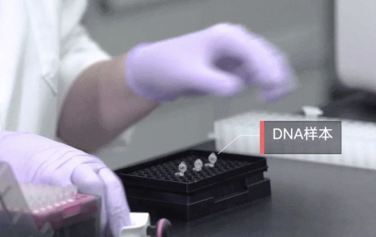 人員如何快速采樣？鑒定機(jī)構(gòu)對(duì)收到的親子鑒定樣本負(fù)責(zé)