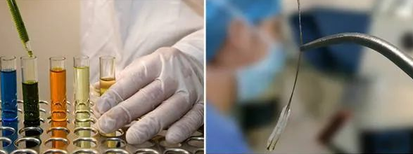 【科普】毛發親子鑒定樣本為什么一定要帶根部毛囊？