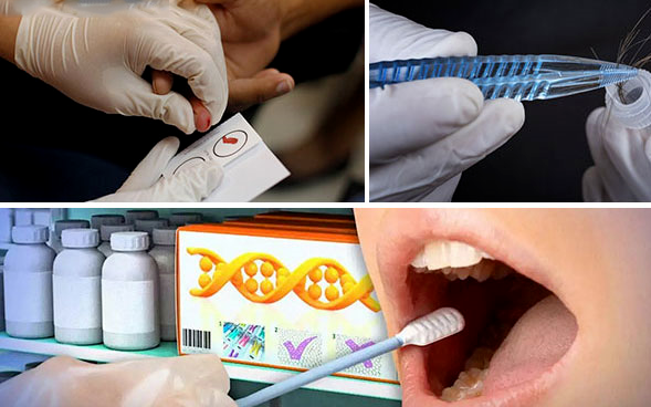 個人親子鑒定郵寄常規樣本如何保證準確性？