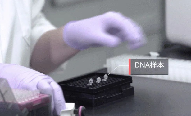 孩子不像丈夫怎么采集親子鑒定樣本確認關系？需要幾個工作日？