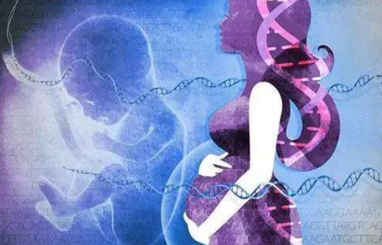 無創(chuàng)胎兒親子鑒定抽血需要孕婦空腹嗎？