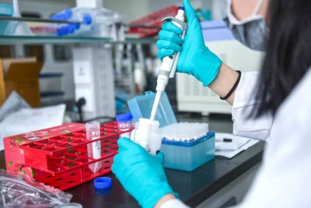 喝酒會影響親子鑒定機構結果準確率嗎？