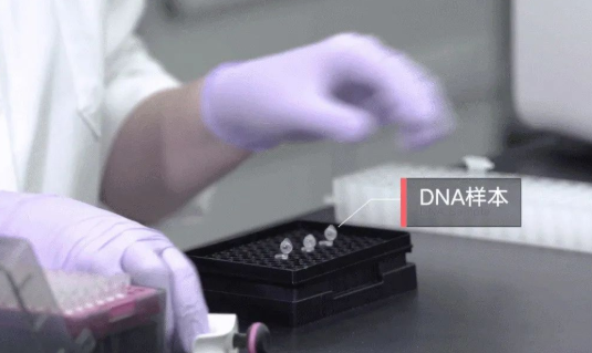 親子鑒定檢驗血型血痕,被鑒定人應了解自己或近親屬有無遺傳病史 親子鑒定檢驗血型血痕,被鑒定人應了解自己或近親屬有無遺傳病史