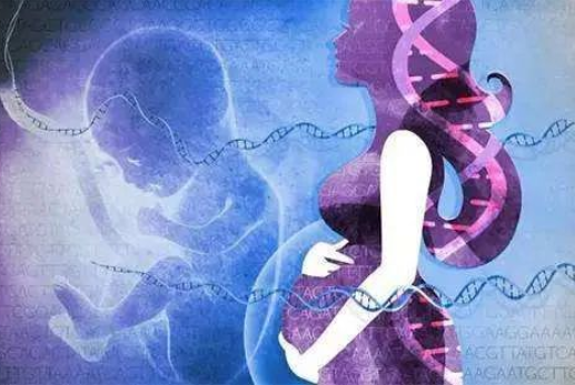 孕婦懷孕幾個月可以做dna親子鑒定？對胎兒有傷害嗎？