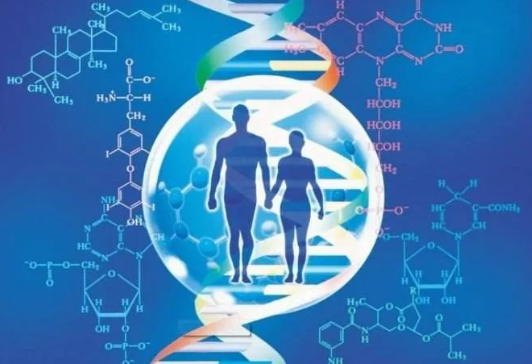 親子鑒定中心是如何做出血緣關系鑒定結果的？