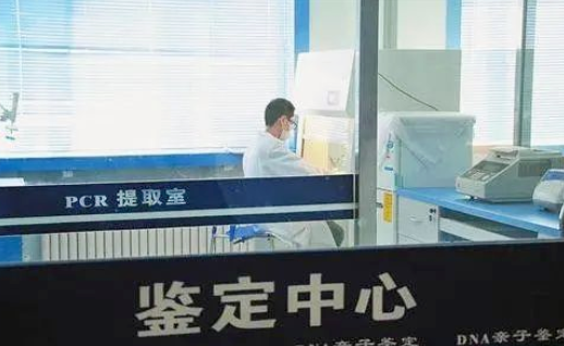 親子鑒定證明非婚生子法院會(huì)判決離婚嗎？可以要求過(guò)錯(cuò)方賠償嗎？