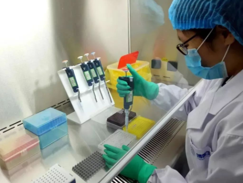 隱私親子鑒定該做不該做？如何做法律相關(guān)親子鑒定？