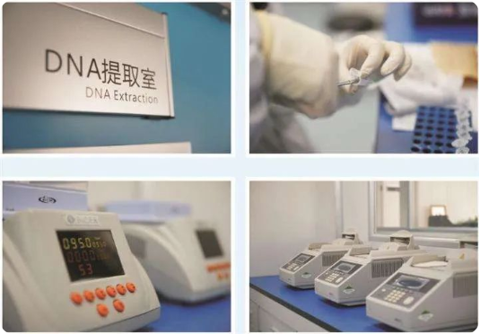 女方網(wǎng)友：父子倆血型一樣親子鑒定就是親生的嗎？