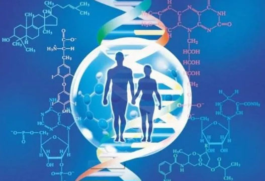 男方要求做親子鑒定的情況增多，是西方文化與傳統道德觀點的碰撞