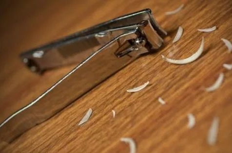 采集被鑒定人指甲做親子鑒定檢材大概需要多少錢? 采集被鑒定人指甲做親子鑒定檢材大概需要多少錢?