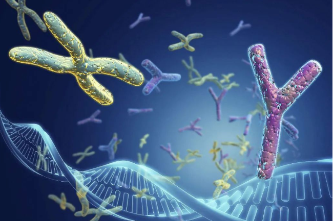 梁老伯：爺爺跟孫子可以做親緣關系鑒定嗎？多少錢？