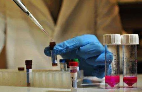 對比血清分類學測試和白細胞抗原測試，親子（緣）鑒定靠不靠譜？