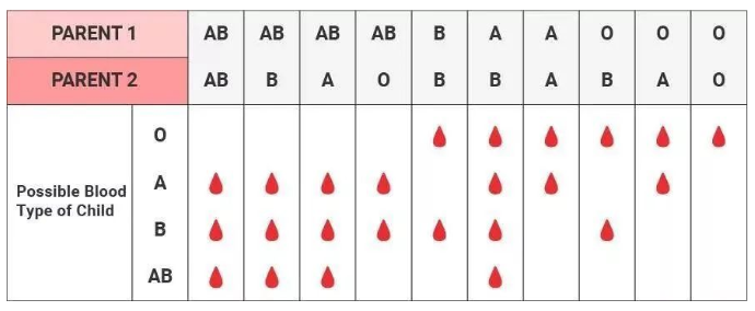 對比血清分類學測試和白細胞抗原測試，親子（緣）鑒定靠不靠譜？