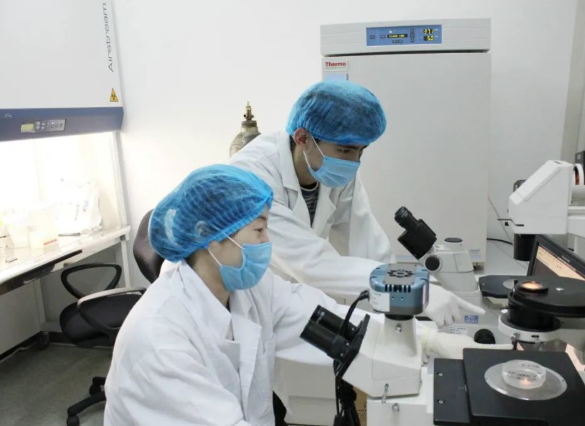 親子鑒定可以驗(yàn)證妻子忠貞度，也可以給孩子上戶口