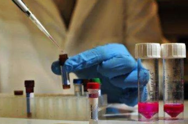 小孩子親子鑒定“非親生率”上升 5種家庭糾紛催熱親子鑒定