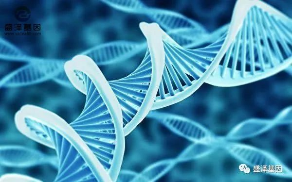 在中山哪里可以做無創孕期胎兒親子鑒定