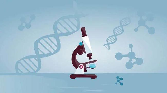 中山個人隱私親子鑒定：需要的證據(jù)和指南