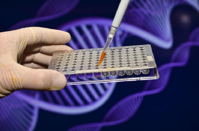 中山親子鑒定不同類型的程序、法律效力和適用范圍各不相同！