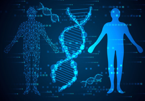 中山私人親子鑒定又稱匿名隱私親子鑒定