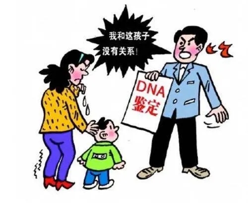中山dna親子鑒定如何辦理？怎么收費(fèi)？